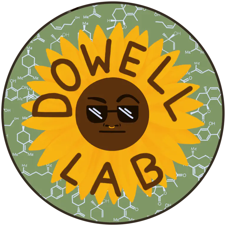 Dowell Lab sunflower logo designed by Lori Pradhan