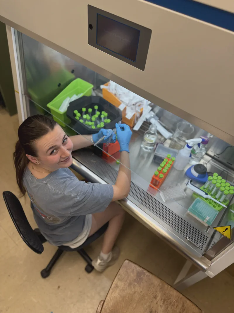 A lab member wearing gloves and working at a laboratory cabinet.