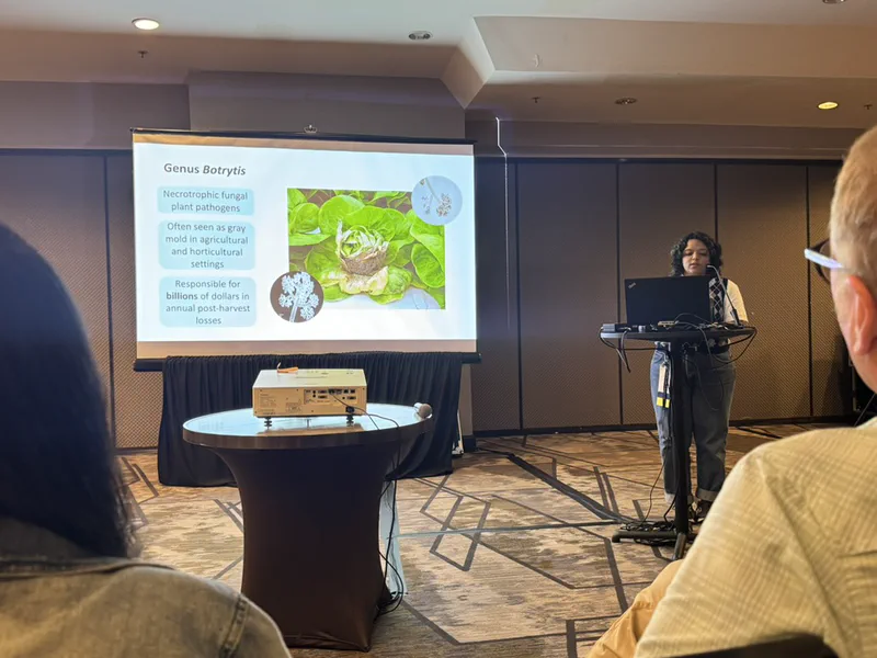 A lab member speaking beside a slide introducing Botrytis plant pathogens.