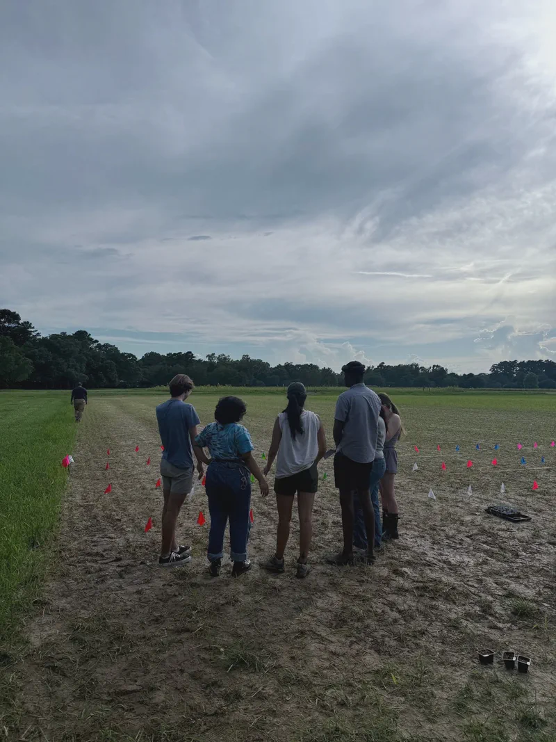 Lab members standing together in a planted field.