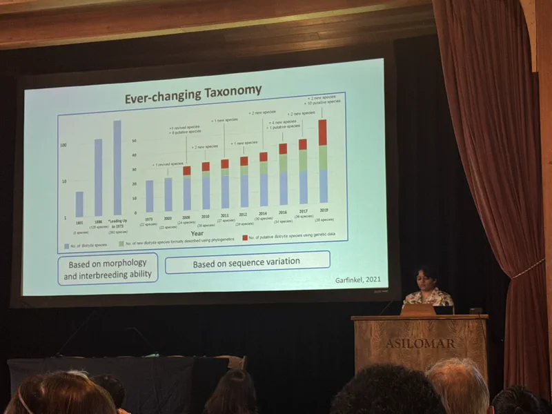 Lori presenting a slide comparing morphology-based and sequence-based approaches to Botrytis taxonomy.