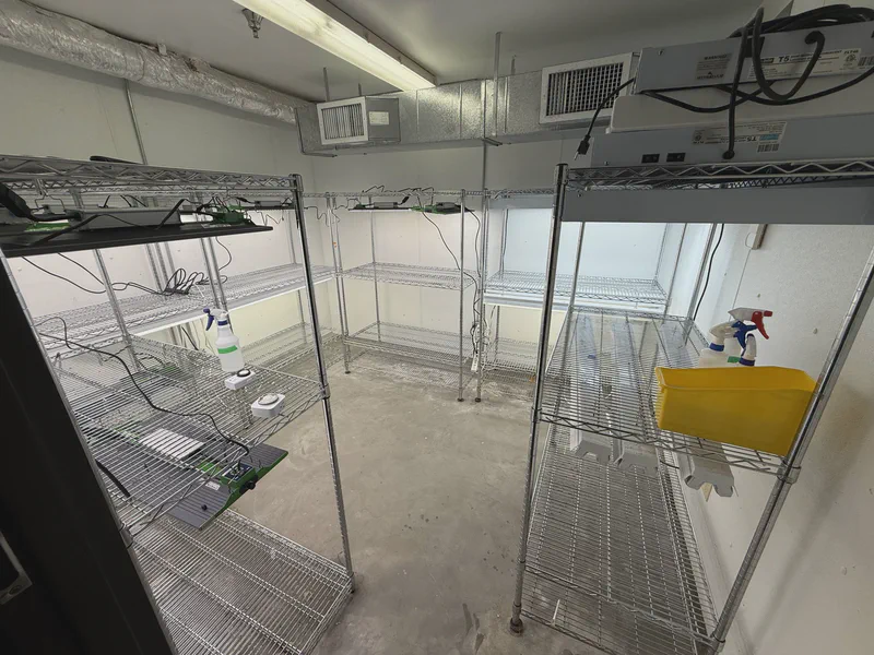 Plant growth room with shelves and lighting.