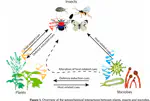 Deciphering Plant-Insect-Microorganism Signals for Sustainable Crop Production