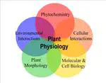 Plant Physiology Fall 2024
